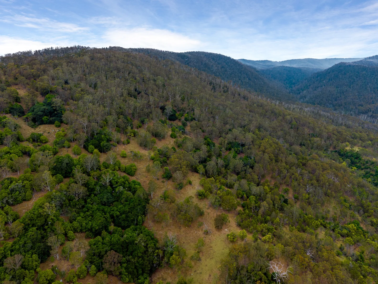 Additional image 14 of Candelo NSW 2550