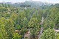Additional image 40 of 261 Saint Francis Dr, Boulder Creek, CA, 95006