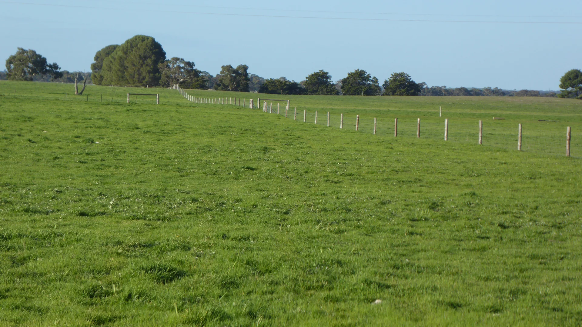 Additional image 9 of "Jacks" Sec 7 Schultz Road, Tintinara SA 5266