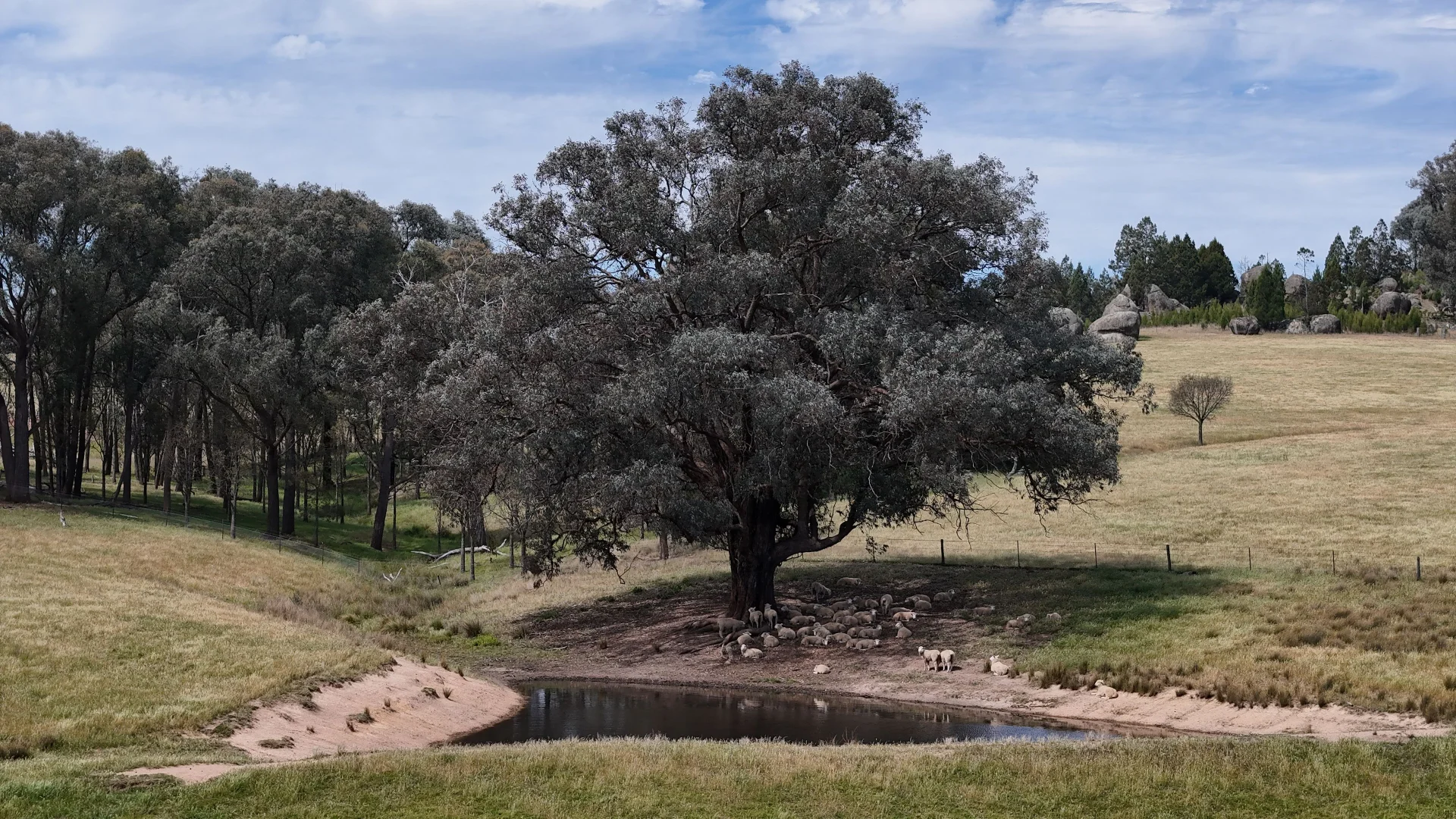 Additional image 6 of Lachlan View, 395 Battery Road, Cowra NSW 2794
