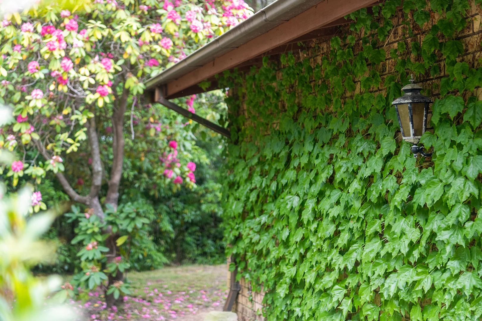 Additional image 16 of 186 Erith Street, Bundanoon NSW 2578