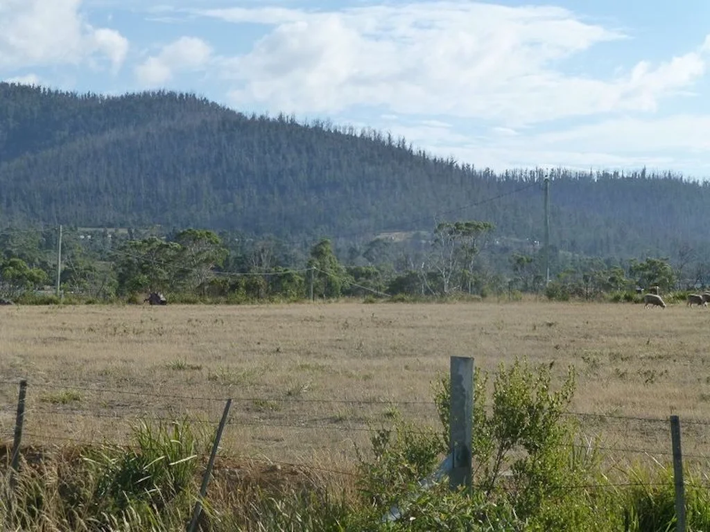 Additional image 6 of 209-221 Arthur Highway, Dunalley TAS 7177