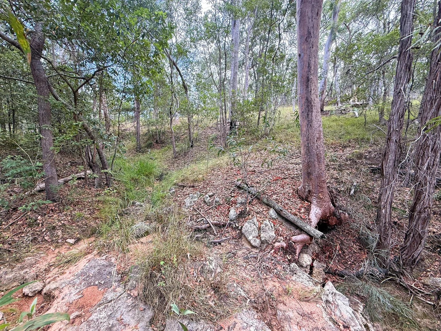 Additional image 14 of Lot 10/931 Nearum Road, Nearum QLD 4671
