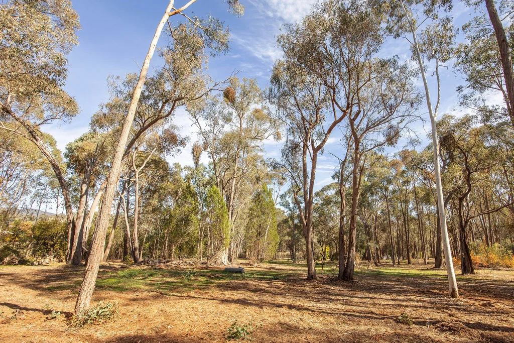 Additional image 33 of 7 Silver Creek Avenue, Yackandandah VIC 3749