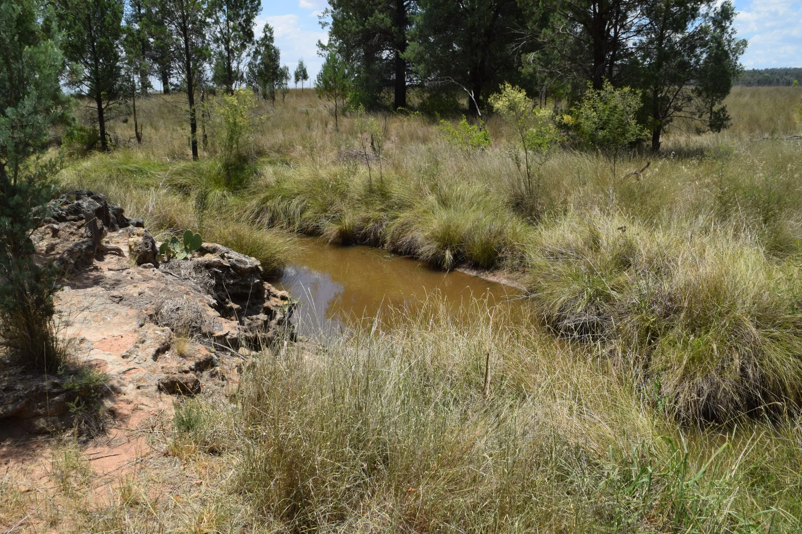 Additional image 31 of 'Illapa' 238L Narromine Road, Dubbo NSW 2830