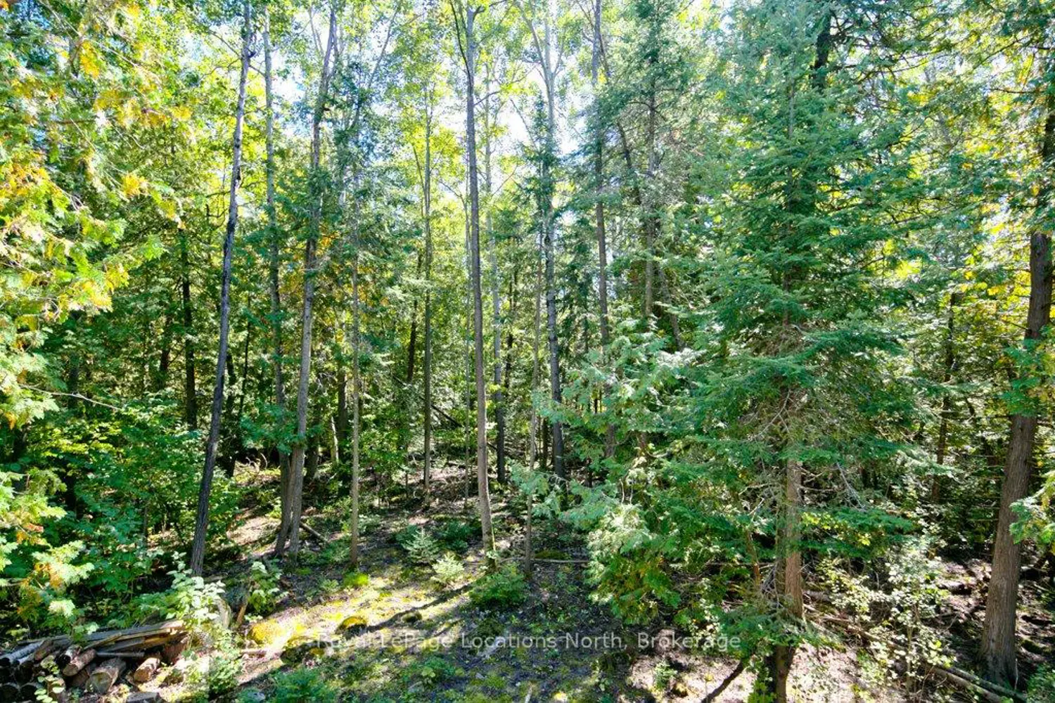 Additional image 15 of 112 Cameron Street