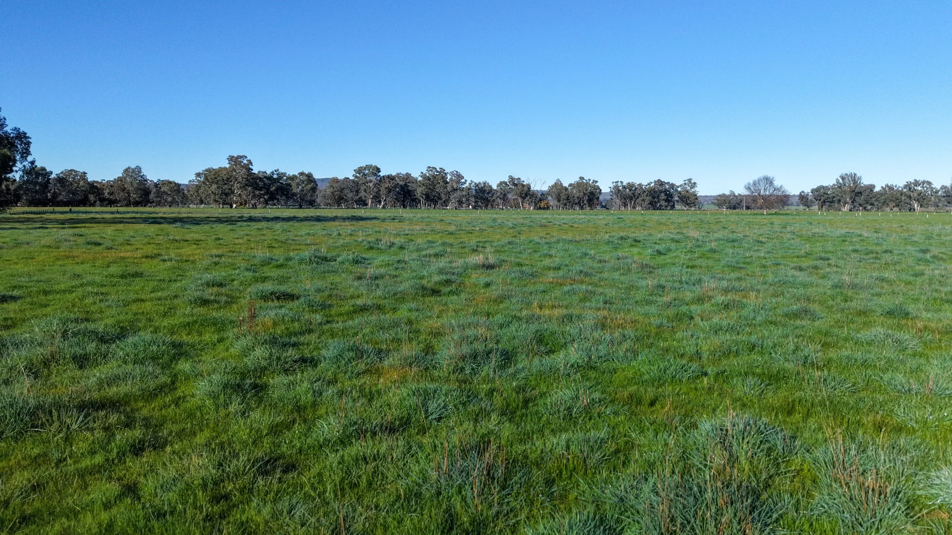 Additional image 21 of 40 Crosses Road, Indigo Valley VIC 3688