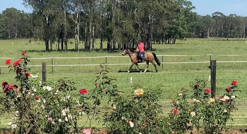 Additional image 6 of 769 Lagoon Road, West Coraki NSW 2471