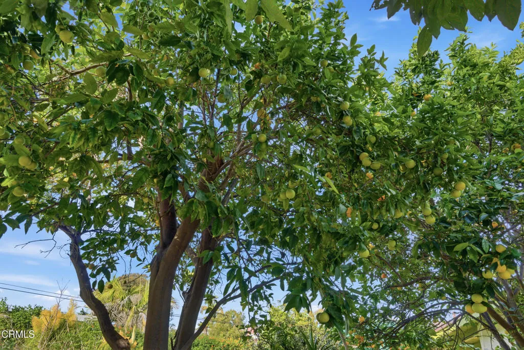 Additional image 39 of 189 Teloma Drive, Ventura, CA 93003