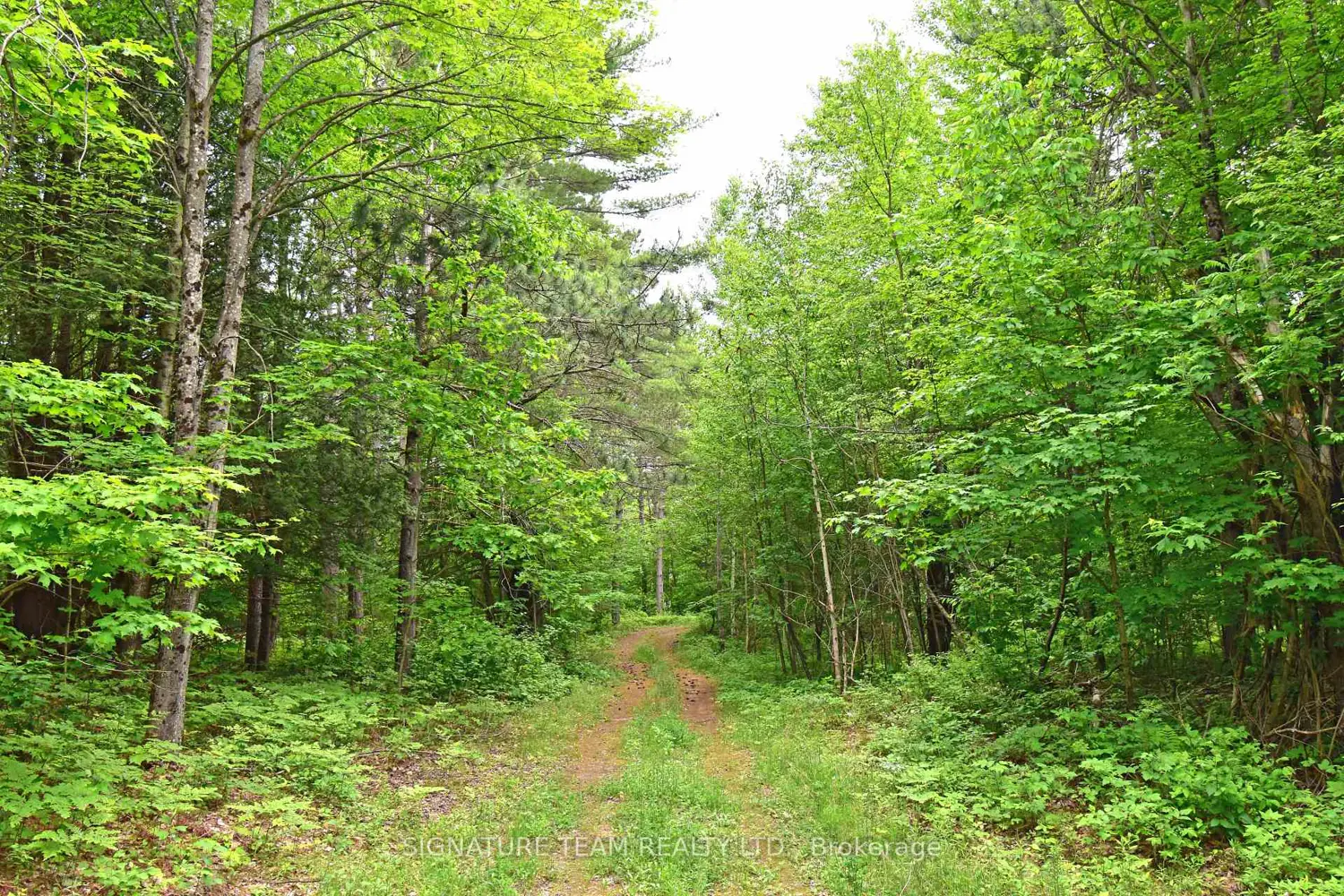Additional image 8 of 455 Passaw Road