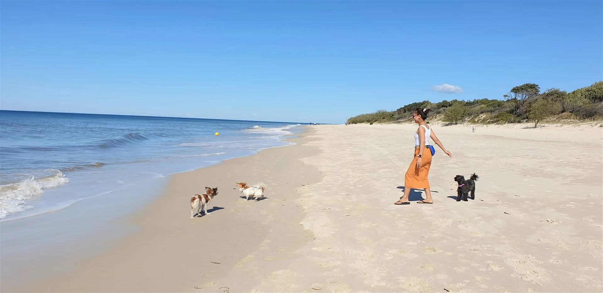 Additional image 26 of 27/5 Links Court, Woorim QLD 4507