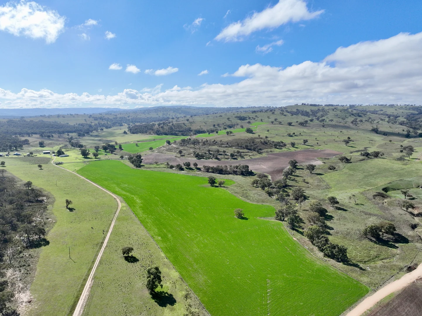 Additional image 29 of "Jemalong" 263 Collier Road, Coolah NSW 2843