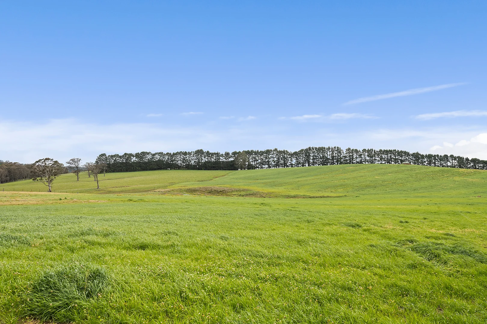 Additional image 16 of Exeter NSW 2579