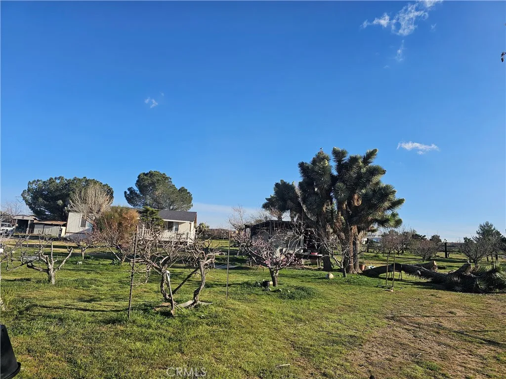 Additional image 35 of 9878 Wilson Ranch Rd, Phelan, CA 92371