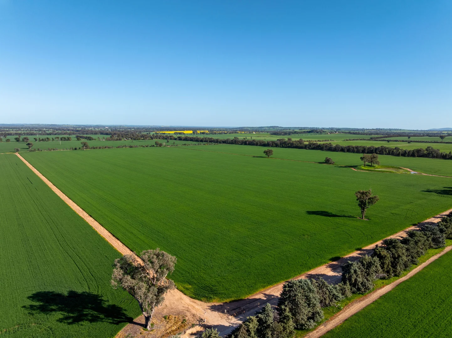 Additional image 24 of 484 Merri Meric Road, Henty NSW 2658