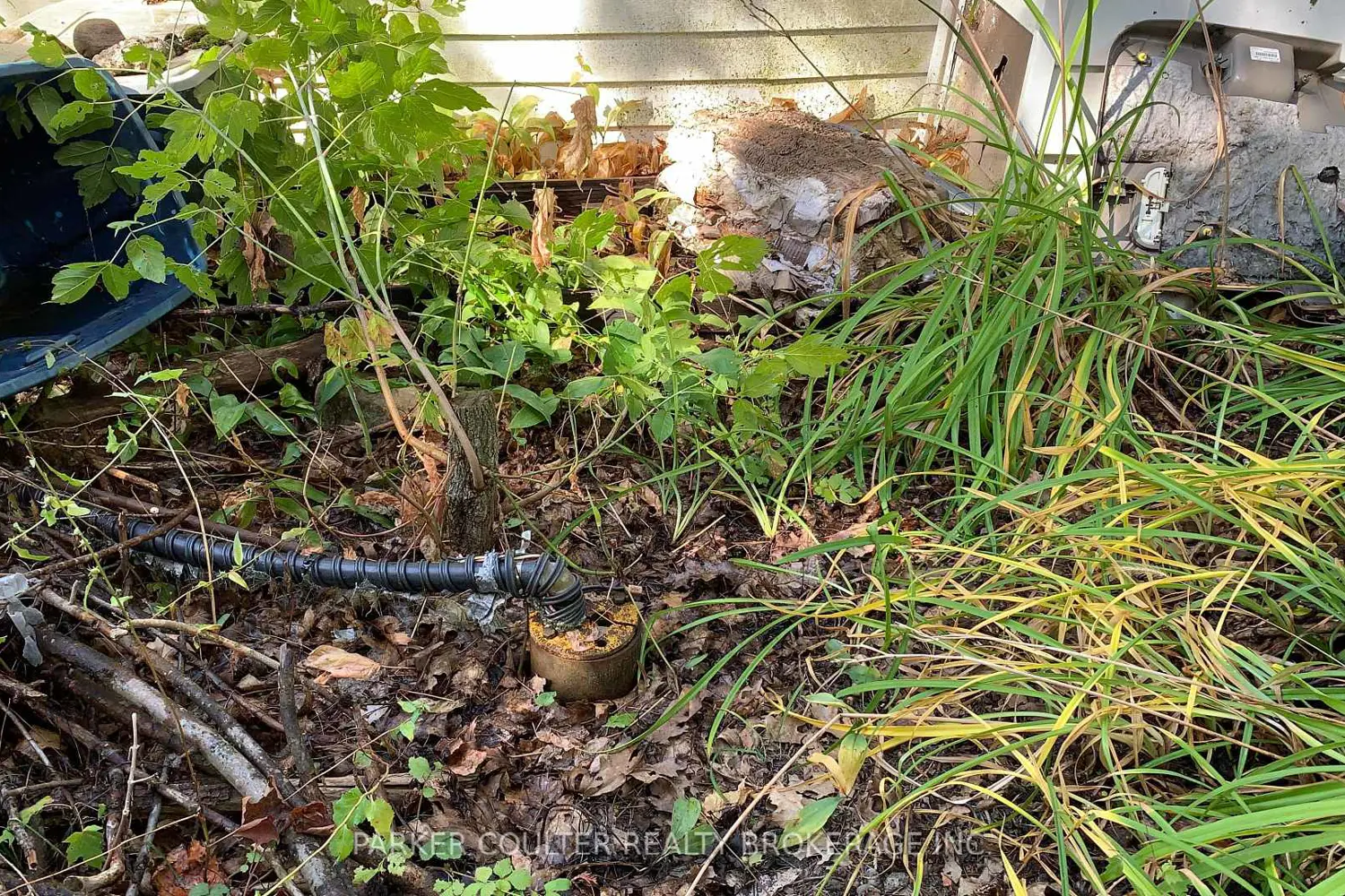 Additional image 5 of 6569 Rama Road