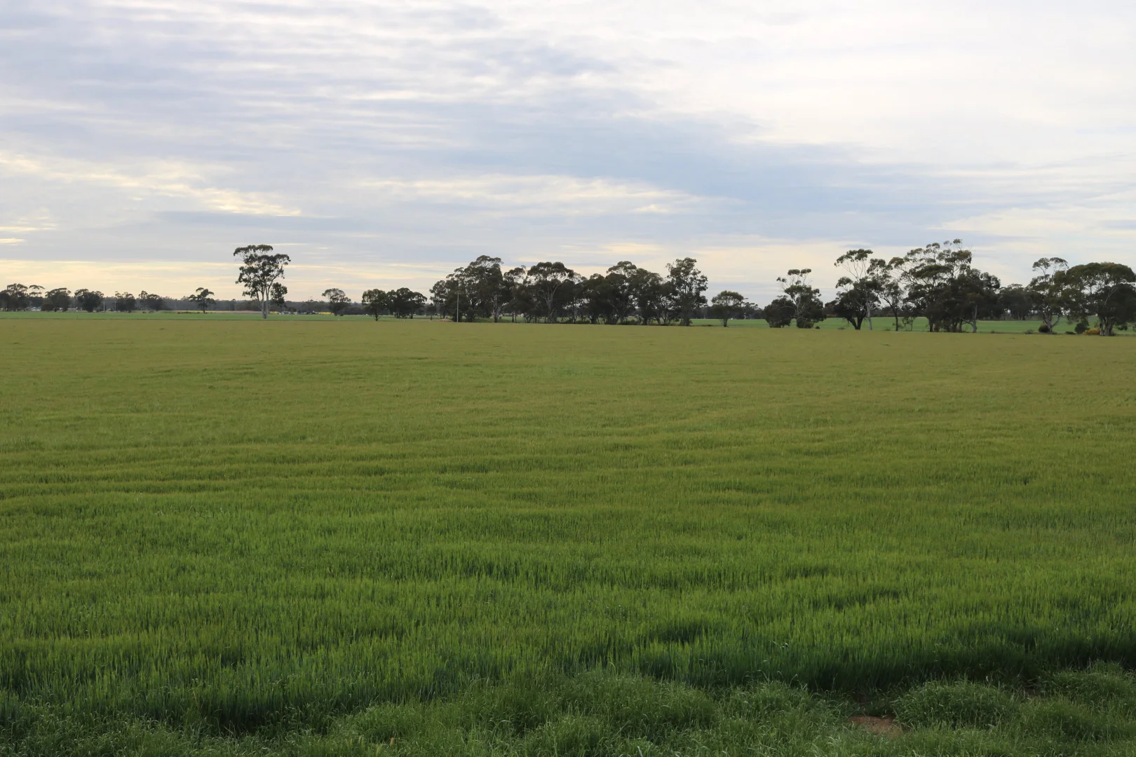 Additional image 7 of Maxwells Lane, Korong Vale VIC 3520