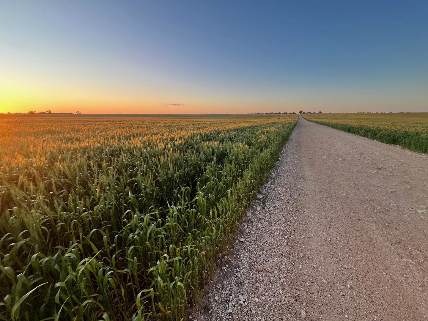 Additional image 16 of Midlands Road, Marchagee WA 6515