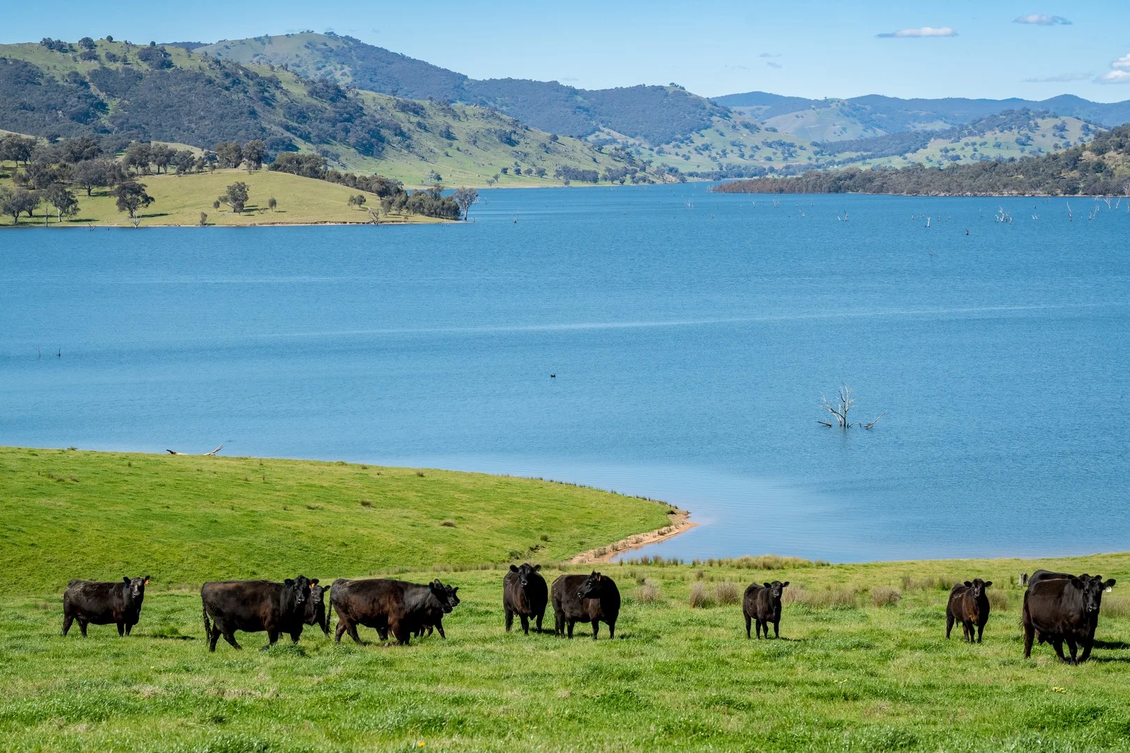 Additional image 3 of 'Inglebrae'/1523 Murray River Rd, Talgarno VIC 3691