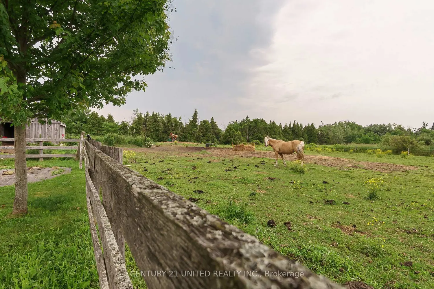 Additional image 17 of 1662 11Th Line