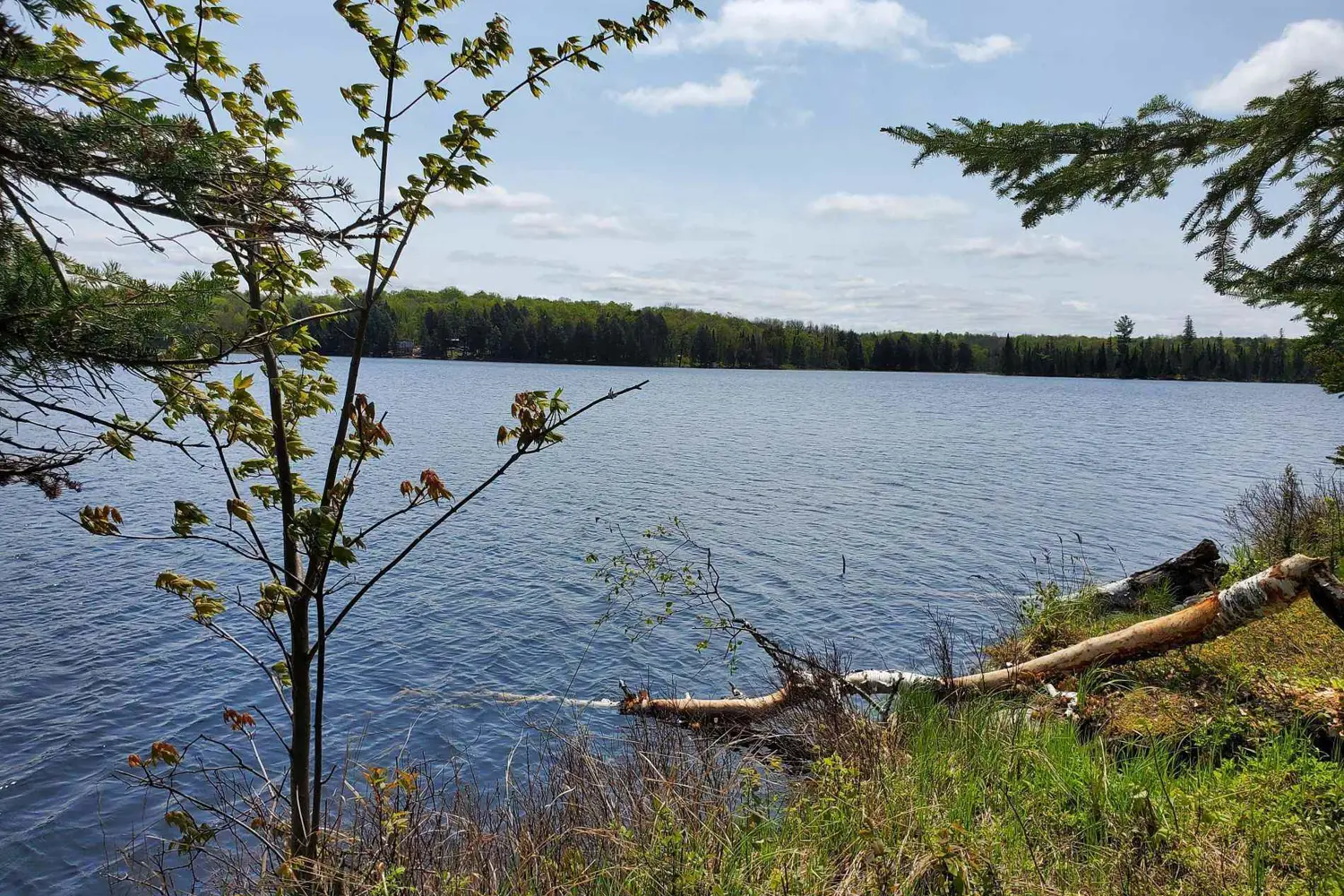 Additional image 5 of Pt4,5,6 Cadden Lake