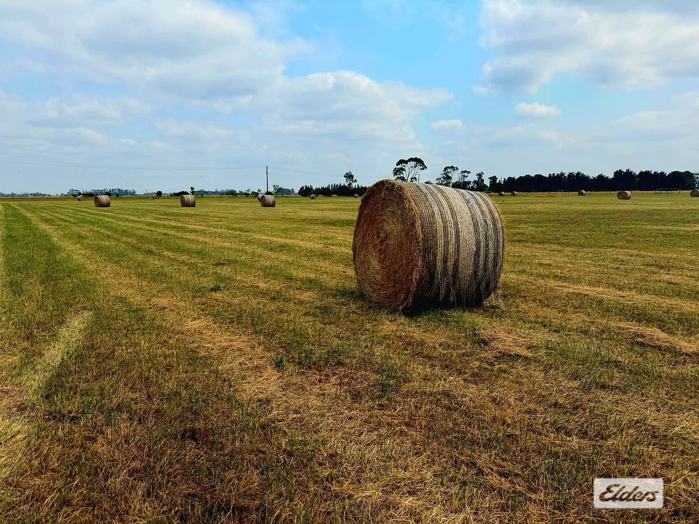 Additional image 4 of 511 Bengworden Road, Cobains VIC 3851