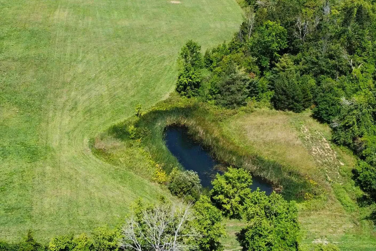 Additional image 3 of 12 Sydenham Trail