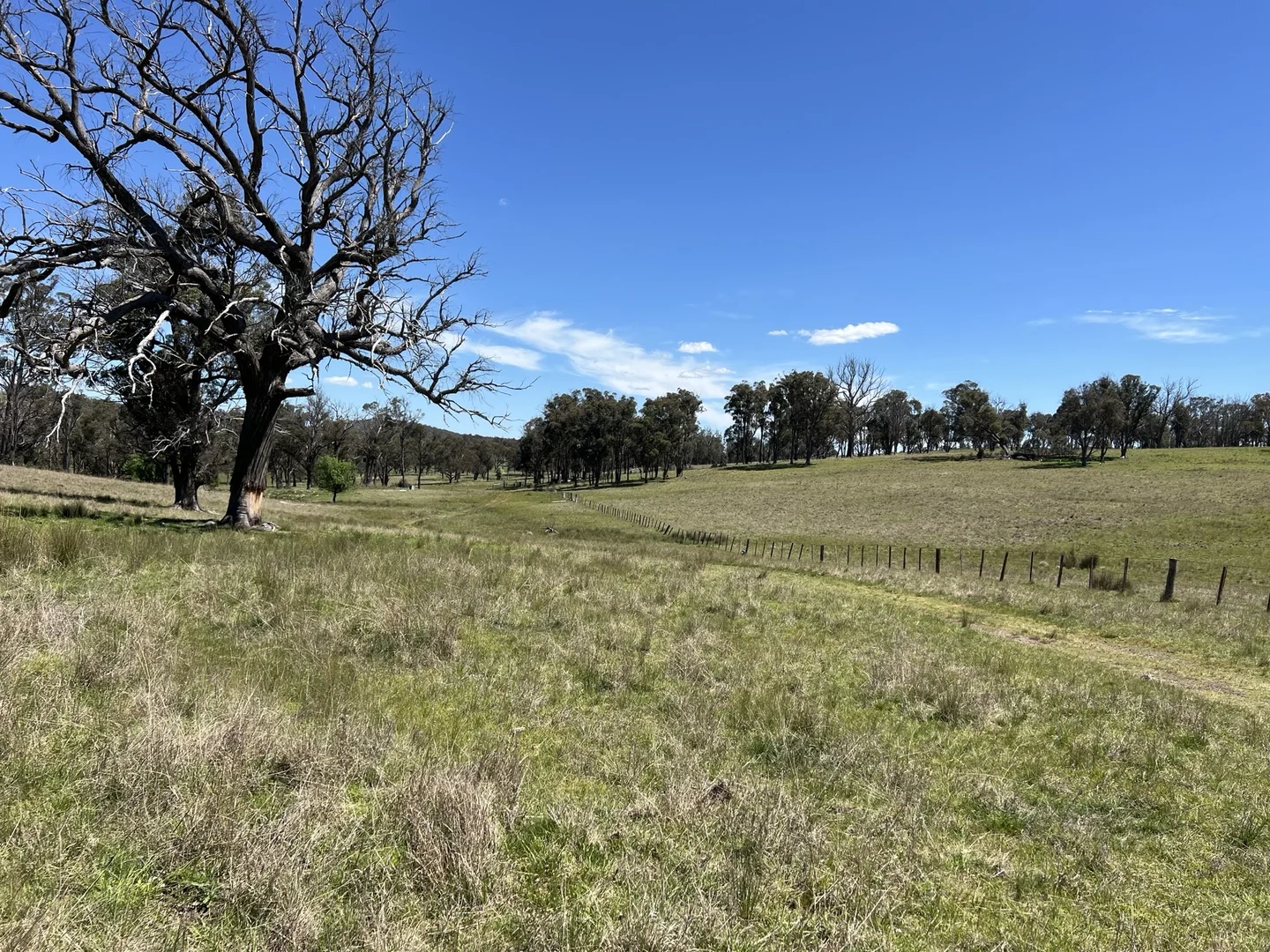 Additional image 7 of 860 Bullock Mountain Road, Yarrowford NSW 2370