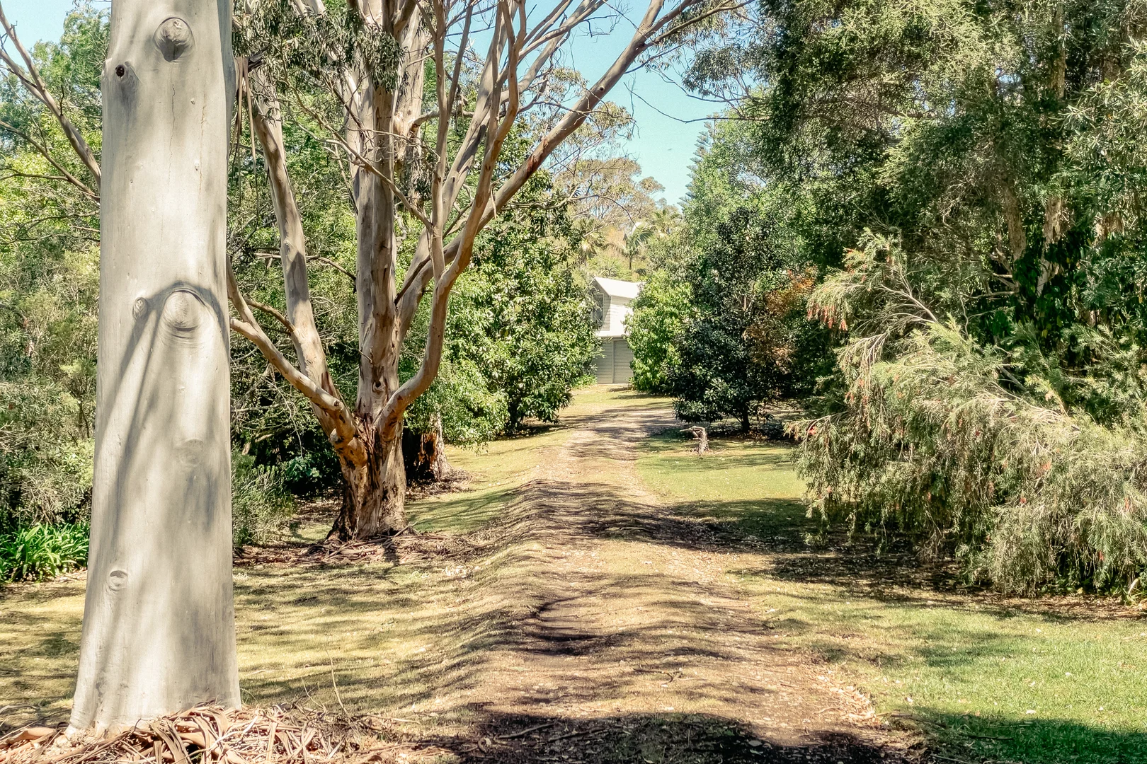 Additional image 43 of 11 Weemala Crescent, Bawley Point NSW 2539