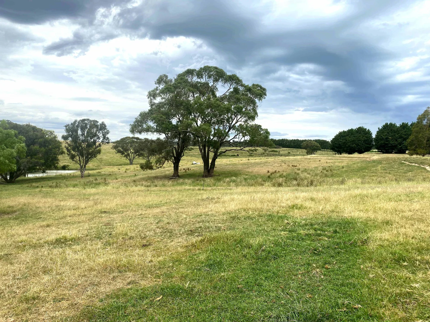Additional image 35 of "Abbyville" 90 Convent Lane, Borenore NSW 2800