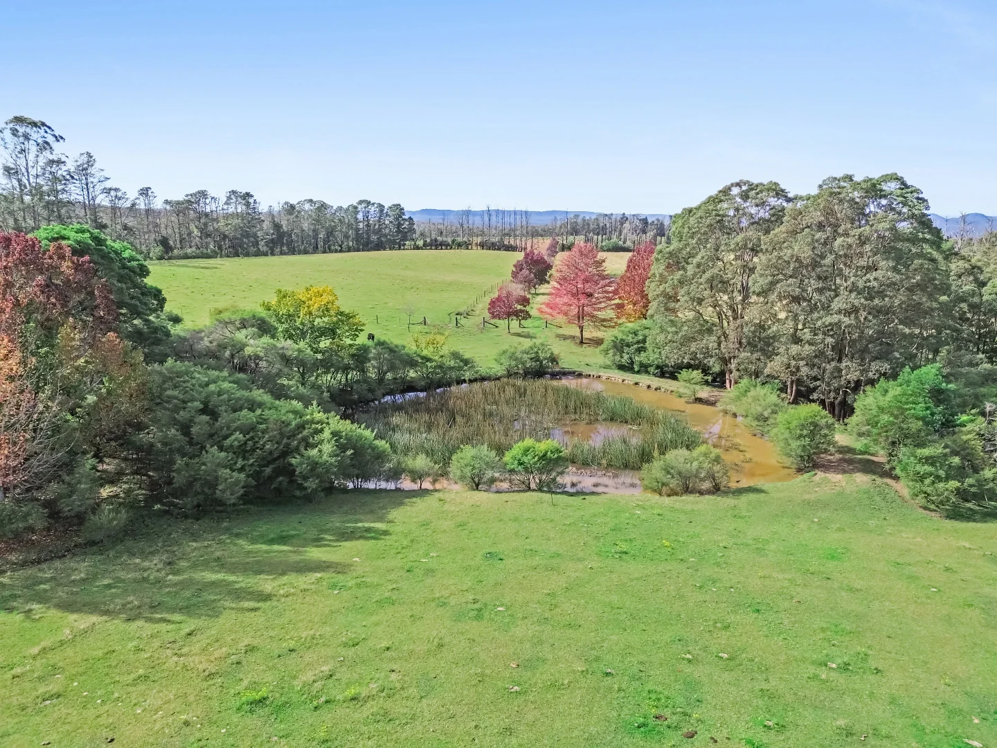 Additional image 2 of 92 Powells Road, Bilpin NSW 2758