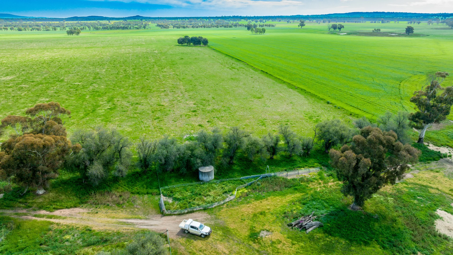 Additional image 4 of 'Arden Vale' Walbundrie Road, Walla Walla NSW 2659