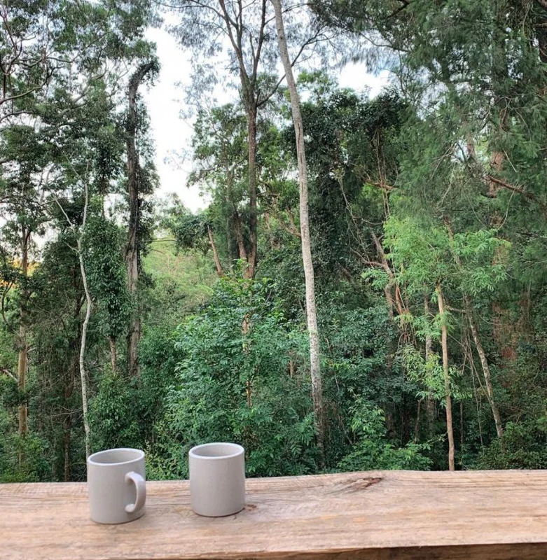 Additional image 18 of Bandon Grove NSW 2420