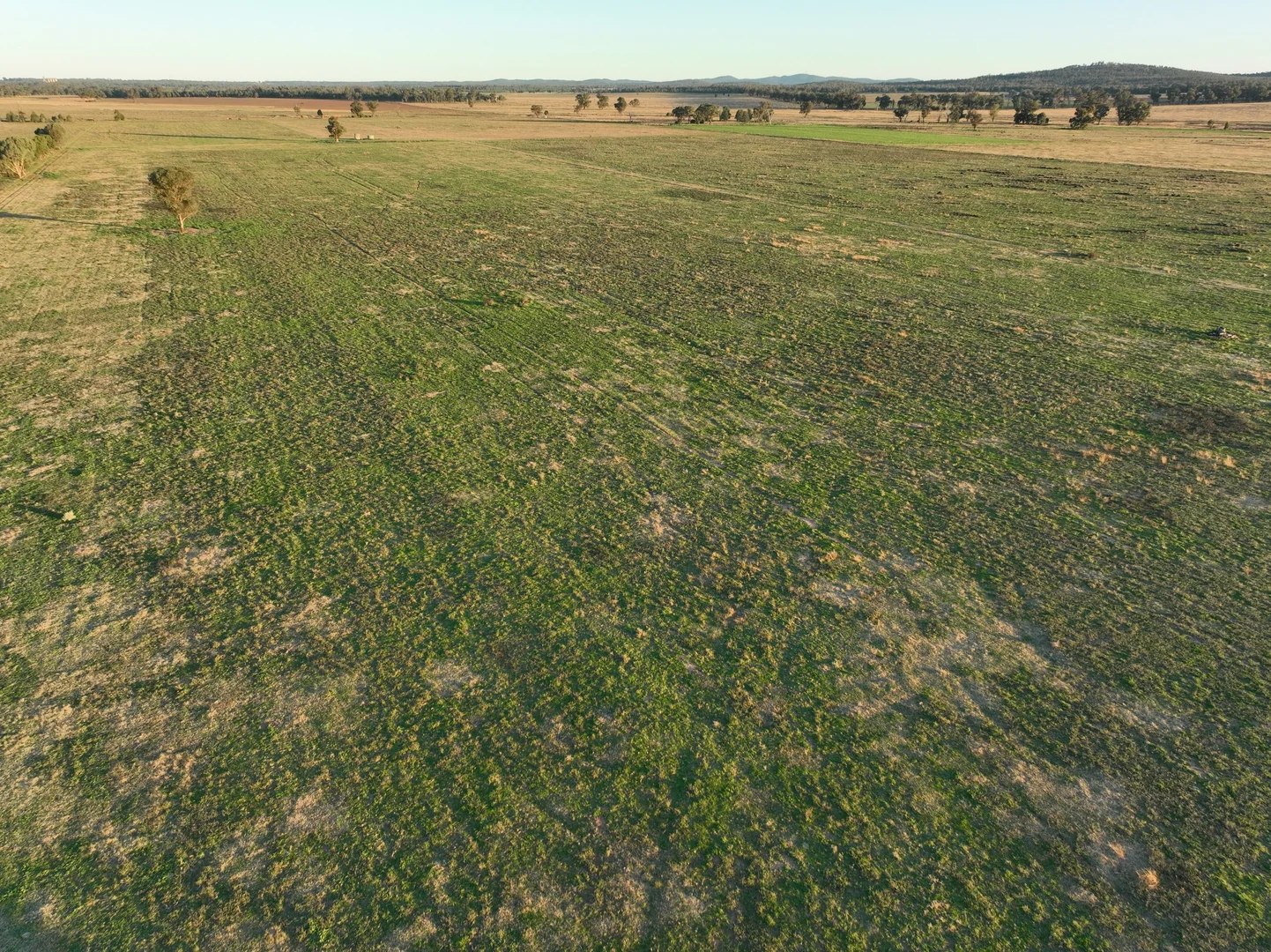 Additional image 22 of 'Westdale' 169L Narromine Road, Dubbo NSW 2830