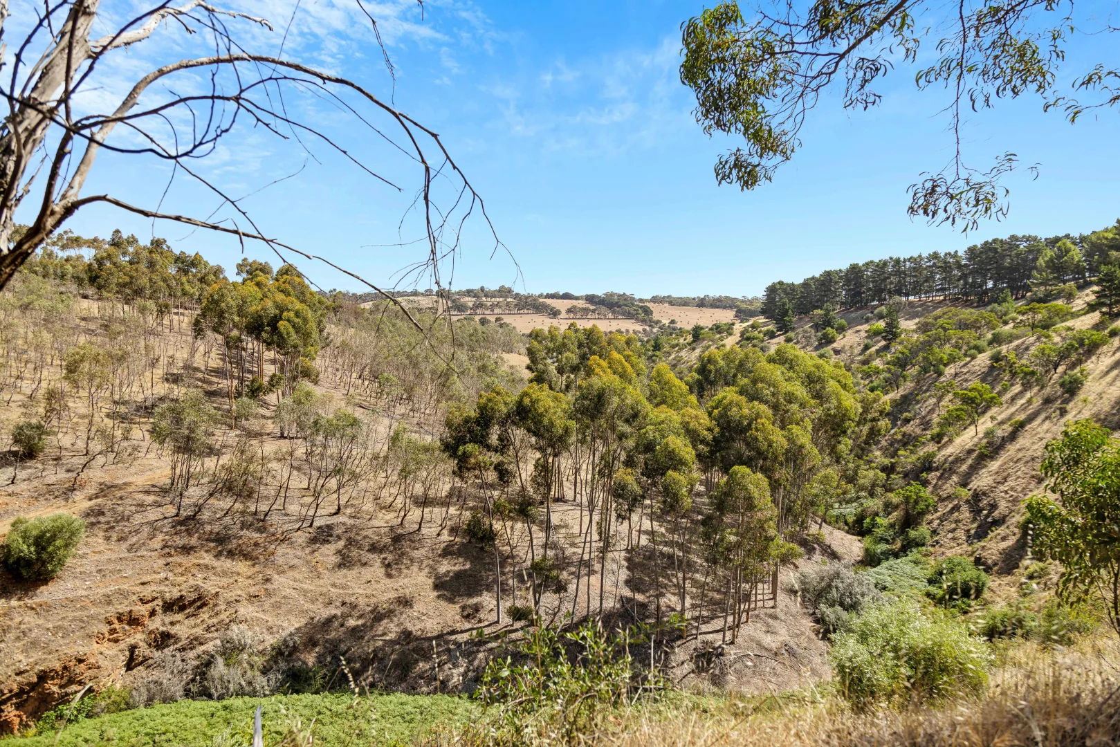 Additional image 22 of 97 Milhinch Road, Carrickalinga SA 5204