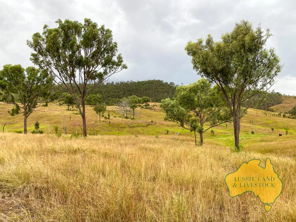 Additional image 32 of 59 MUNGY ROAD, Mungy QLD 4671