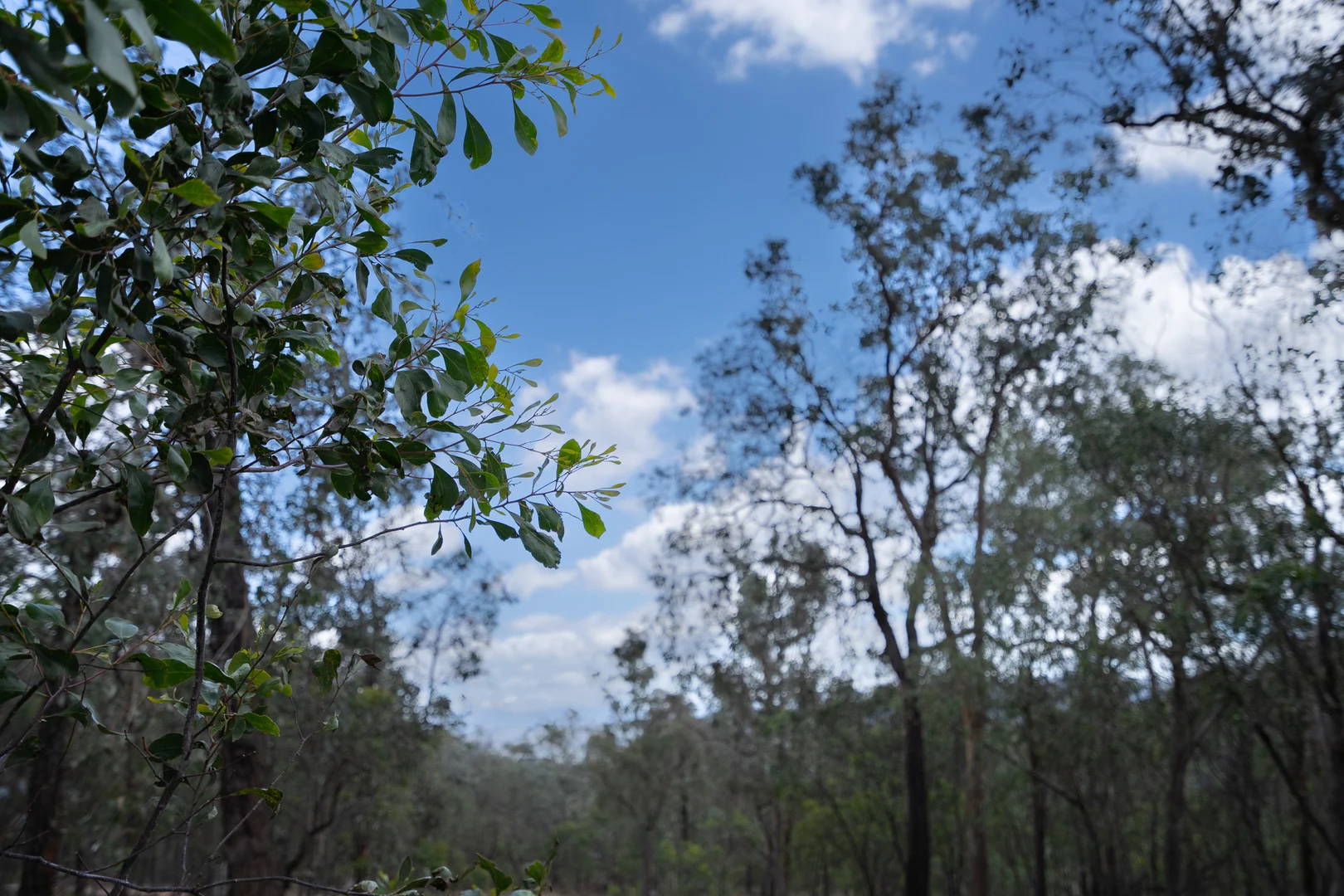 Additional image 2 of 71 Knackery Road, Valencia Creek VIC 3860