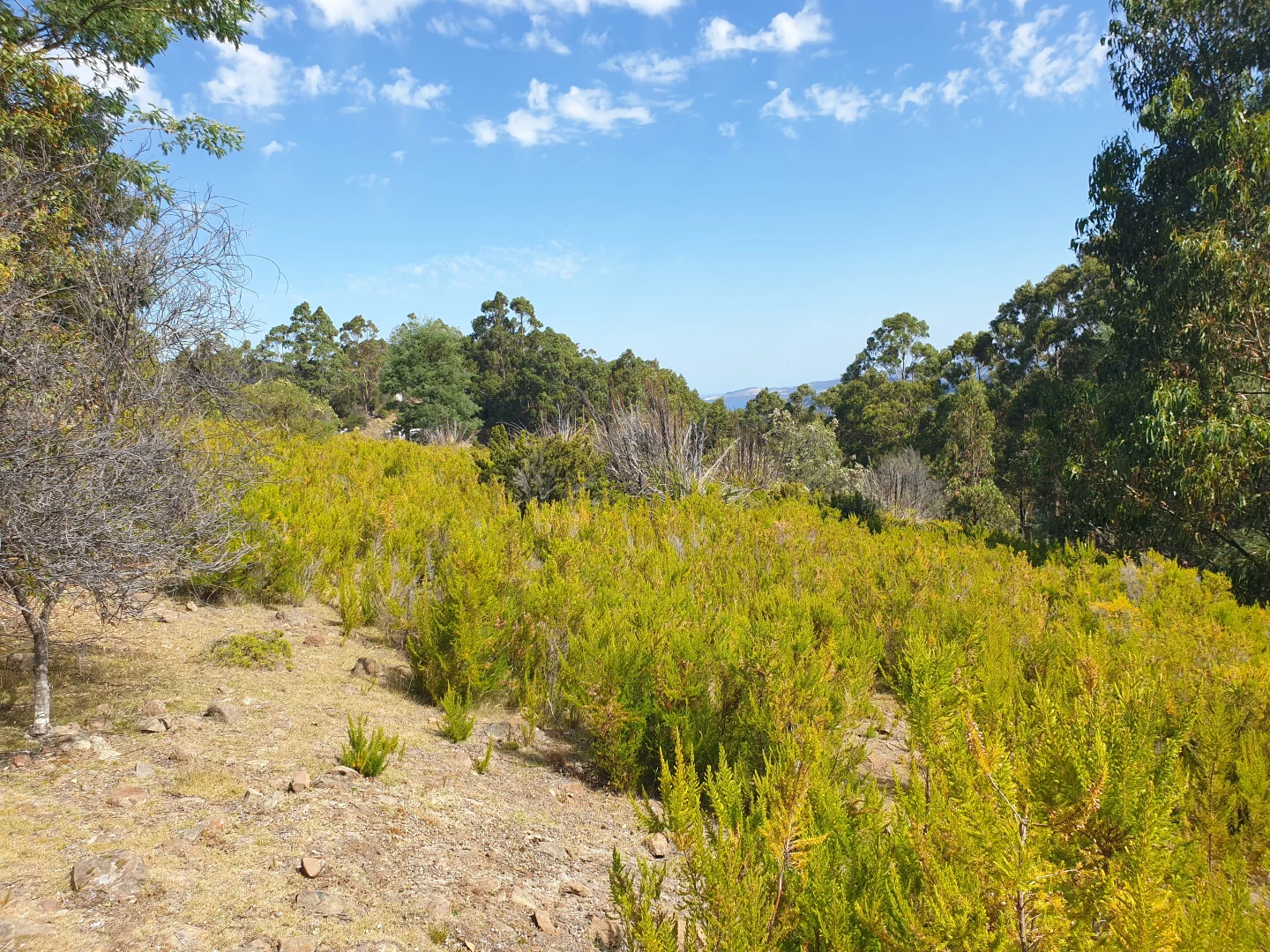 Additional image 2 of Lot 37 Bells Road, Cygnet TAS 7112