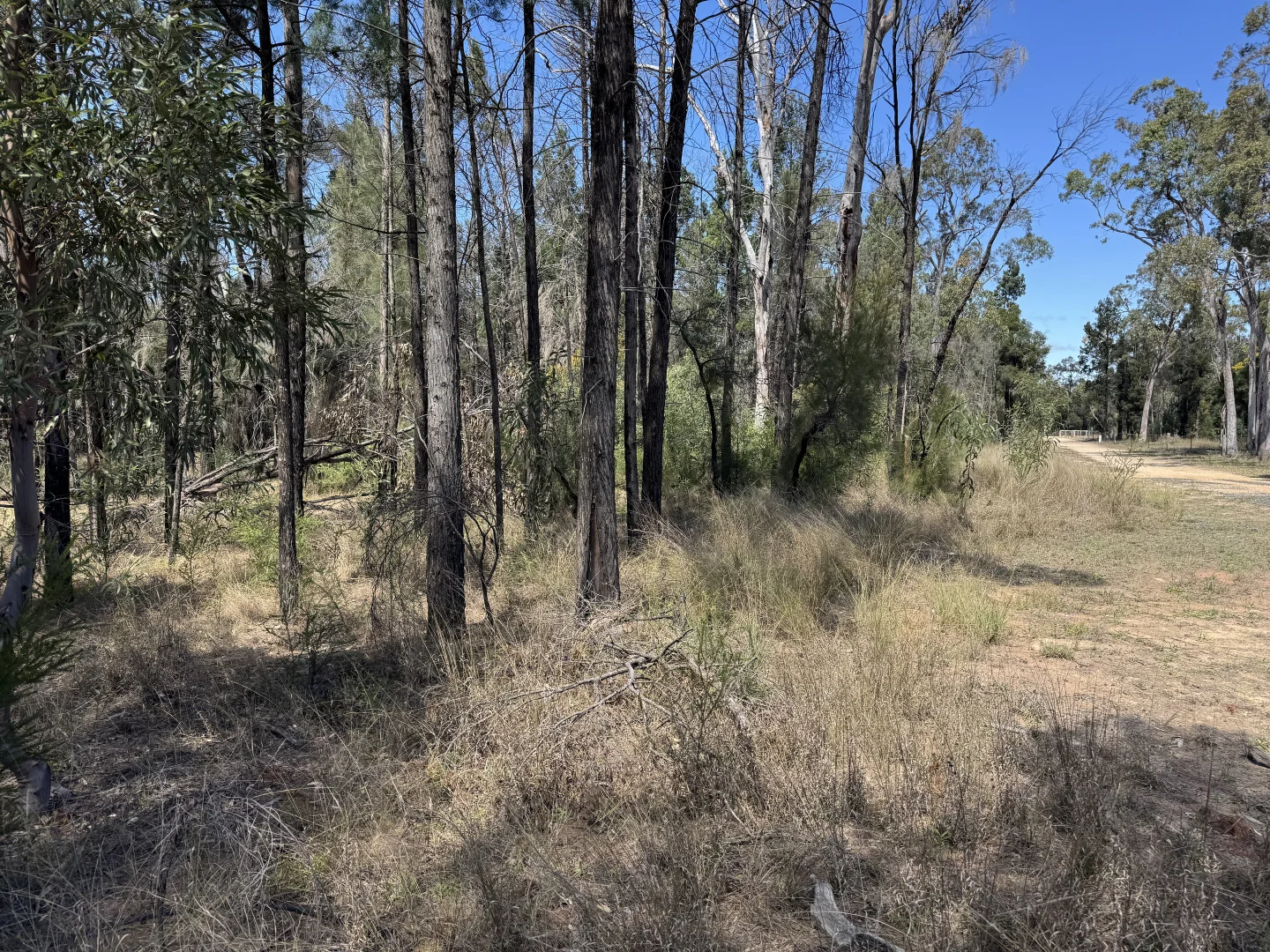 Additional image 2 of Lot 22 Ducklo-Gulera Road, Kumbarilla QLD 4405