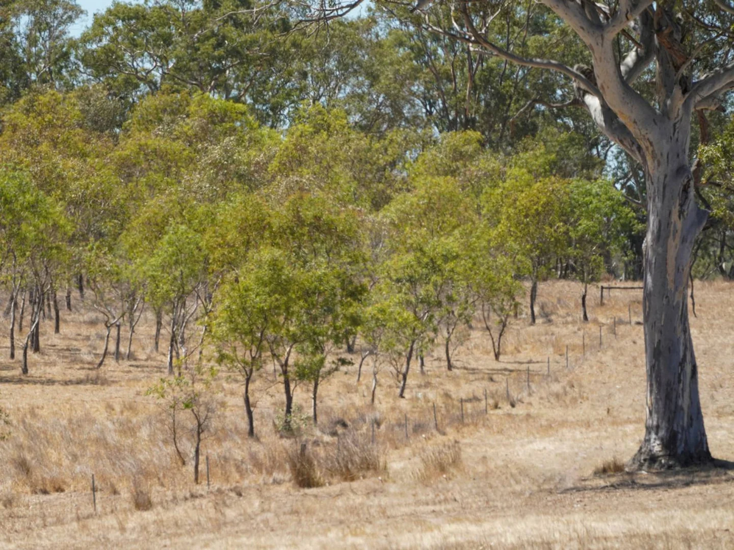 Additional image 31 of 3593 Nareen Road, Culla VIC 3315