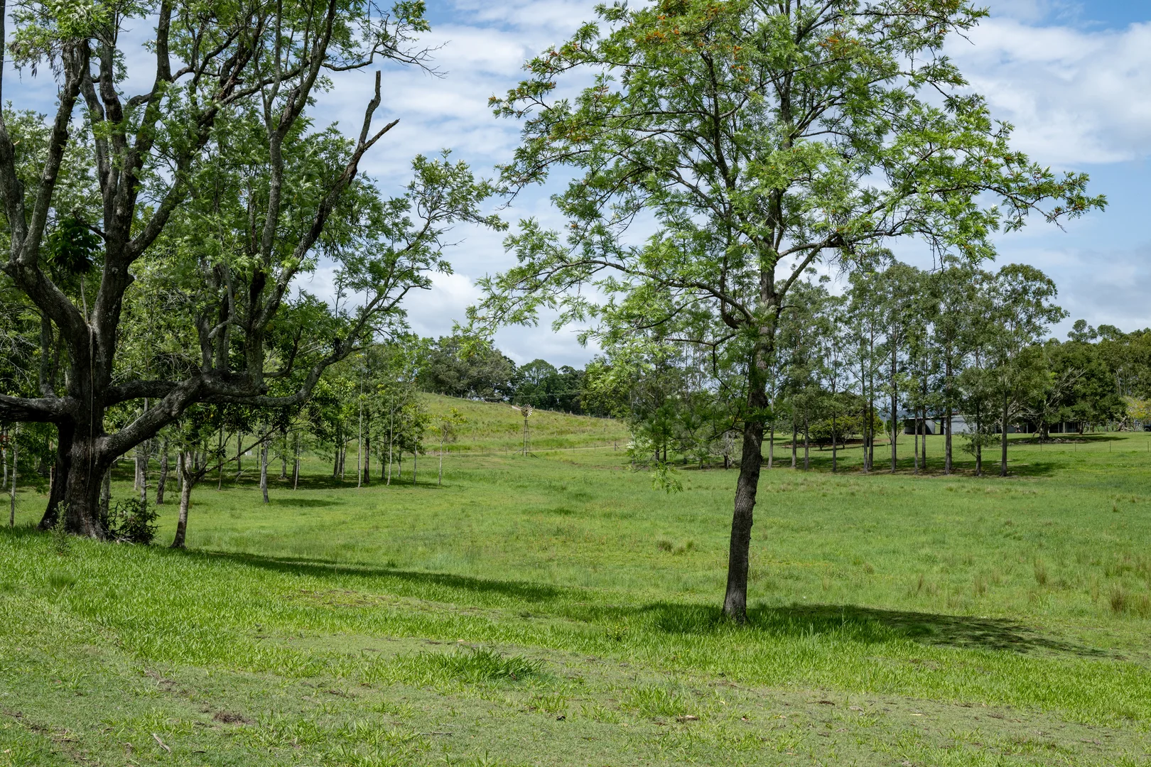 Additional image 28 of 239 Parsons Road, Coondoo QLD 4570