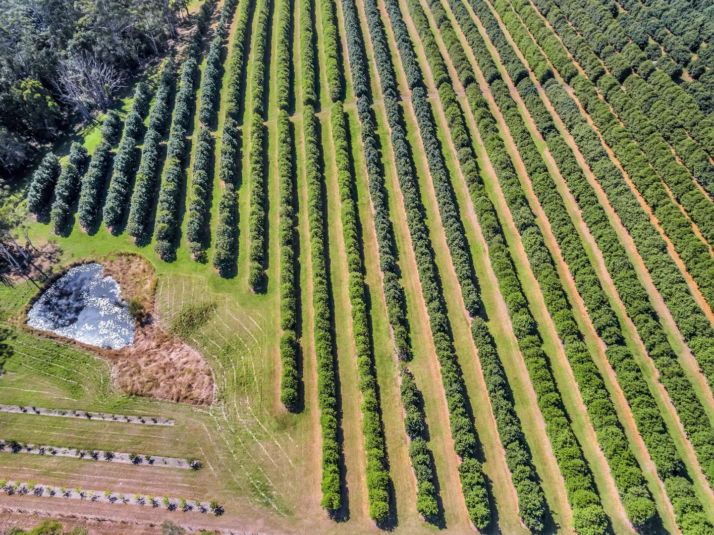 Additional image 8 of Pacific Highway, Eungai Creek NSW 2441