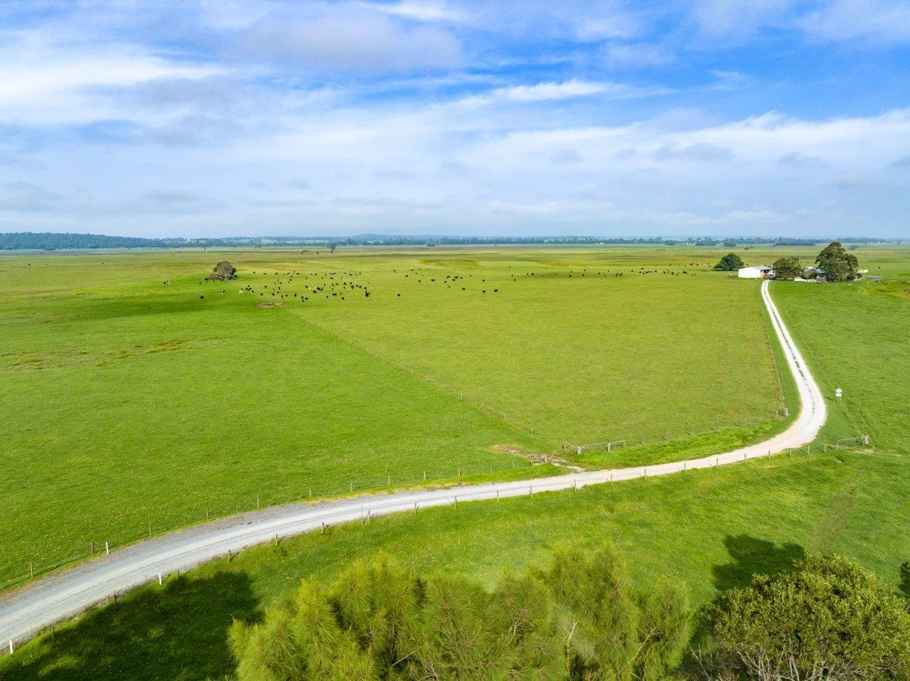 Additional image 7 of 393 & 428 Sandy Flat Road, Brodribb River VIC 3888