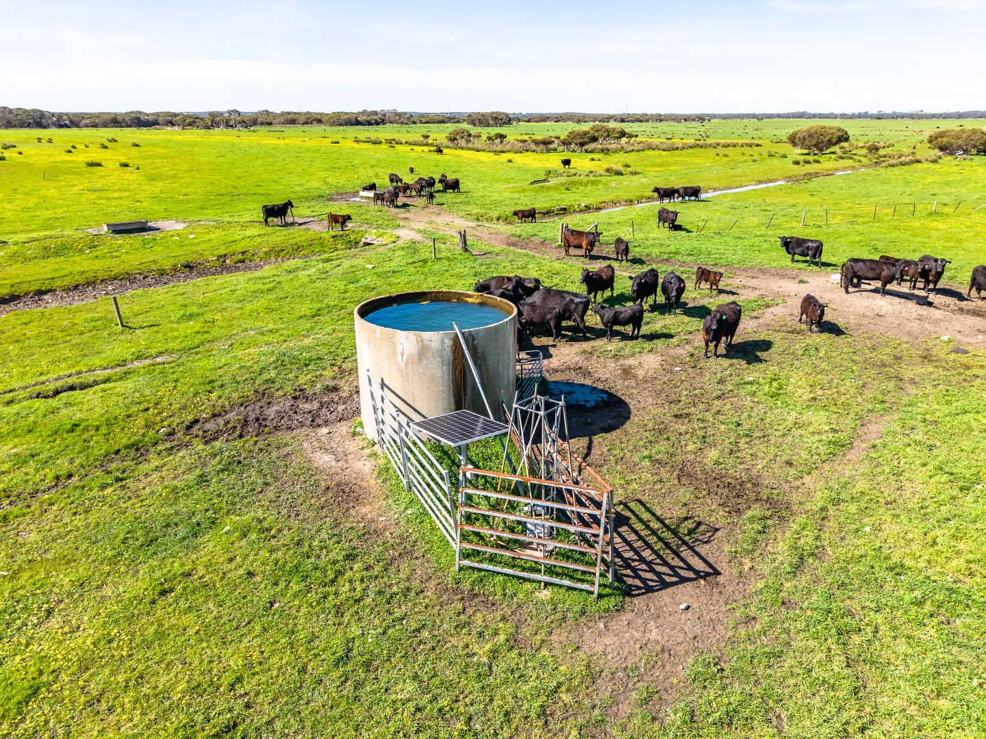 Additional image 15 of 641 Minnie Crowe Road, Avenue Range SA 5273