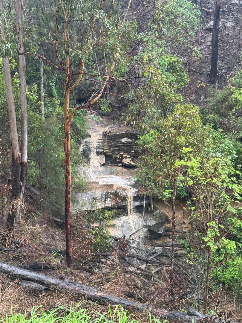 Additional image 9 of Caffey QLD 4343