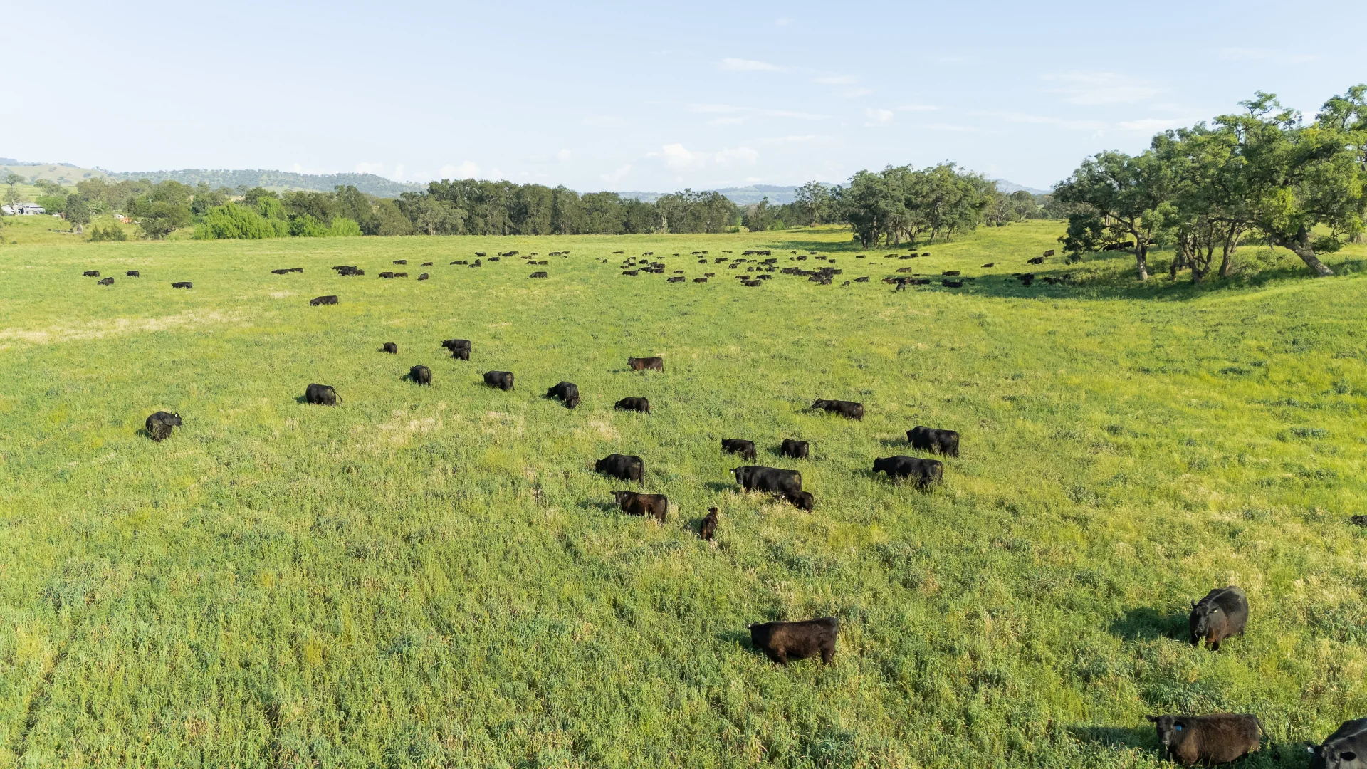 Additional image 2 of 'Kierahmee' 53 Tyrone Rd, Bunnan via, Scone NSW 2337