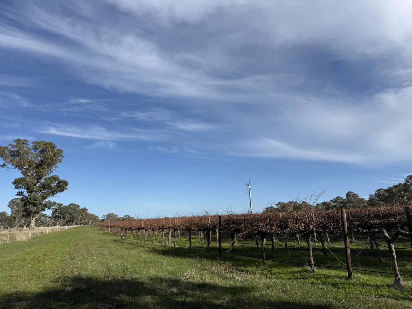 Additional image 5 of Lot 103 Dergholm Road, Penola SA 5277