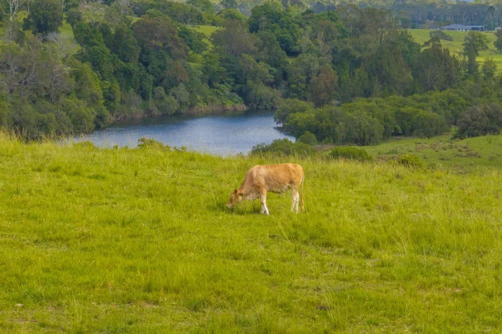 Additional image 6 of Sherwood NSW 2440