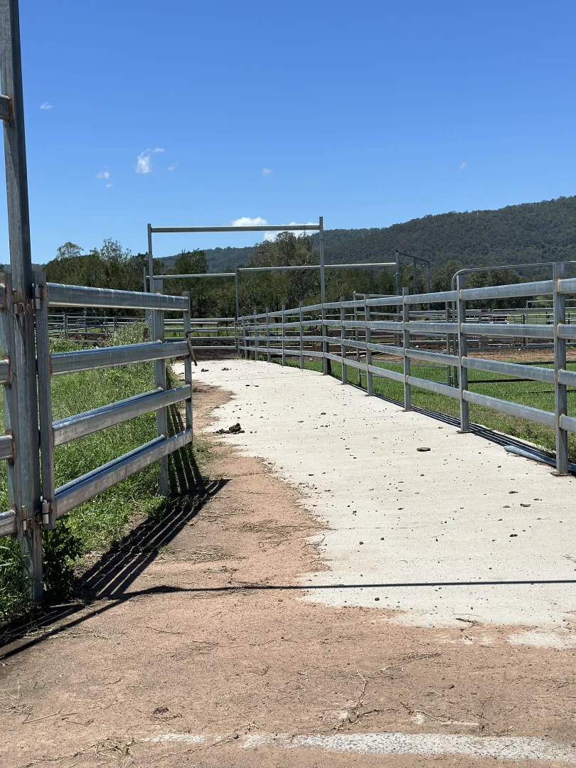 Additional image 18 of 119 Duck Creek Road, Old Bonalbo NSW 2469