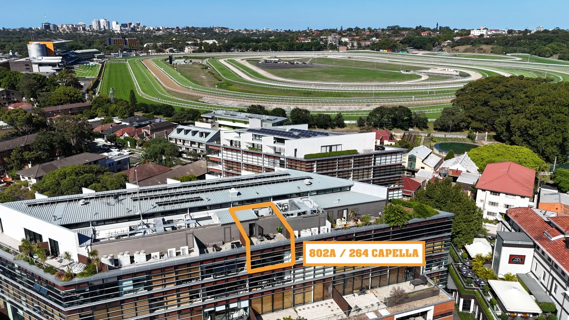 802A/264 Anzac Parade, Kensington NSW 2033